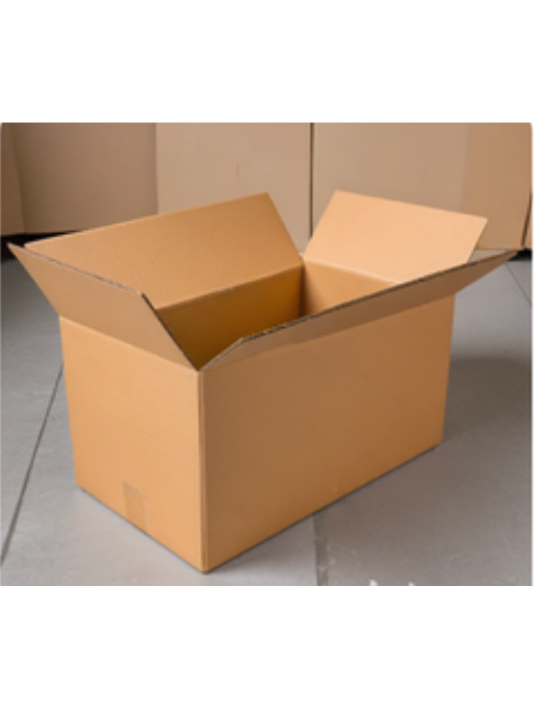 CAJA REGULAR TROQUELADA