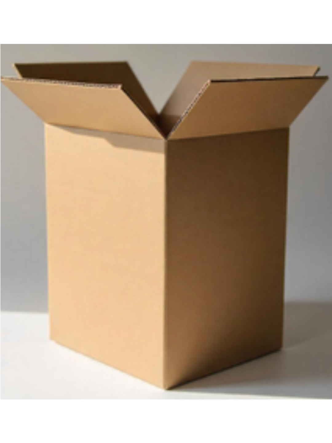 CAJA REGULAR TROQUELADA